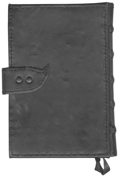 Иллюстрация к книге — Гиллиус: светлая сторона. Книга 1 [i_035.jpg]