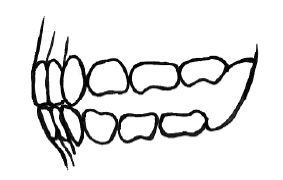 Иллюстрация к книге — Зубы. Как у вас дела? [i_013.jpg]