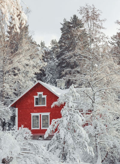 Иллюстрация к книге — Волшебный Новый год. Секреты радостных праздников без суеты и стресса [i_004.jpg]