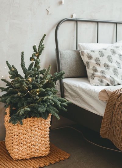 Иллюстрация к книге — Волшебный Новый год. Секреты радостных праздников без суеты и стресса [i_006.jpg]