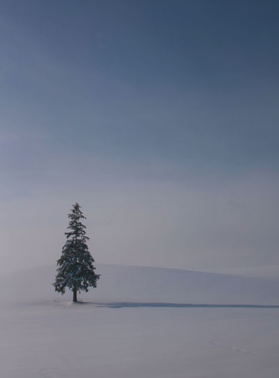 Иллюстрация к книге — Волшебный Новый год. Секреты радостных праздников без суеты и стресса [i_042.jpg]