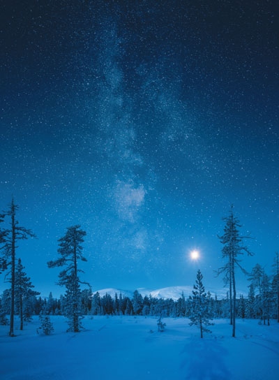 Иллюстрация к книге — Волшебный Новый год. Секреты радостных праздников без суеты и стресса [i_057.jpg]