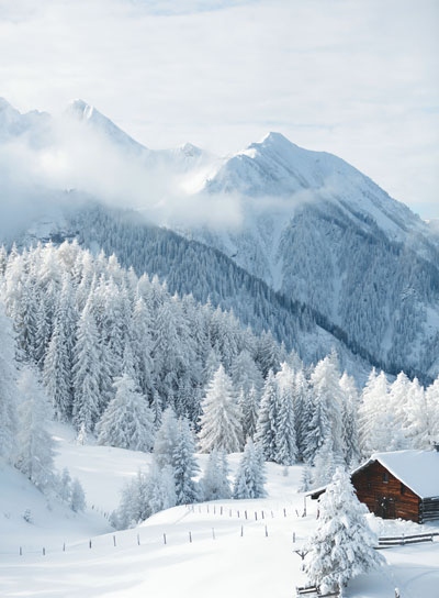 Иллюстрация к книге — Волшебный Новый год. Секреты радостных праздников без суеты и стресса [i_058.jpg]