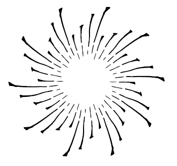 Иллюстрация к книге — Потомки солнца. Признание Моён [img_6.jpg]