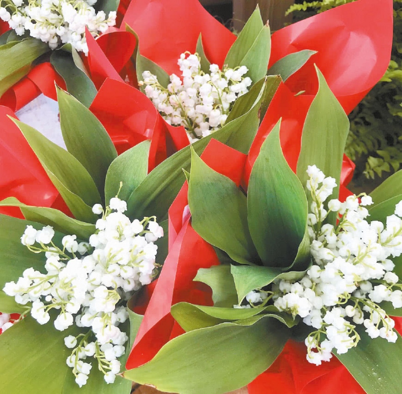 Иллюстрация к книге — Франция, которую вы не знали [i_038.jpg]