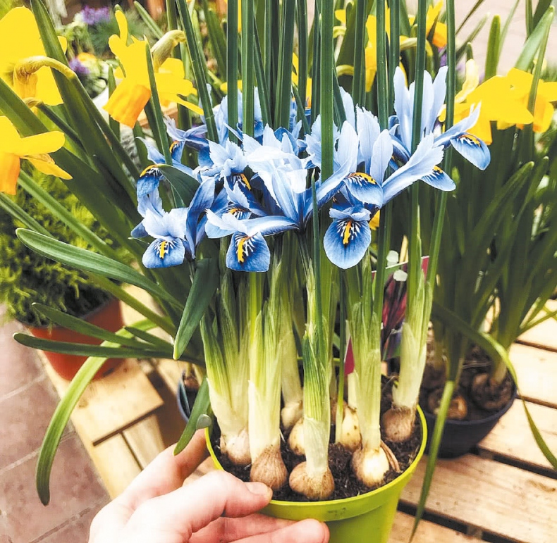 Иллюстрация к книге — Франция, которую вы не знали [i_043.jpg]