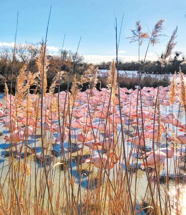 Иллюстрация к книге — Франция, которую вы не знали [i_058.jpg]