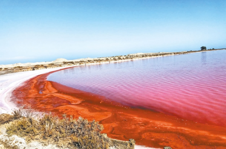 Иллюстрация к книге — Франция, которую вы не знали [i_059.jpg]