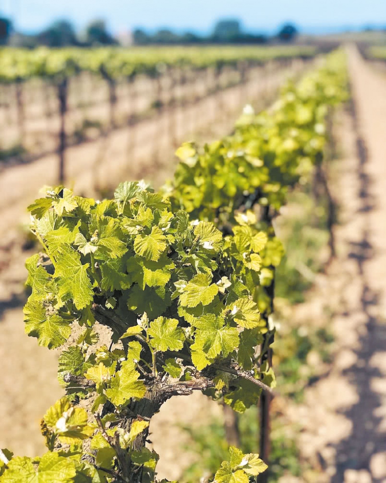 Иллюстрация к книге — Франция, которую вы не знали [i_080.jpg]