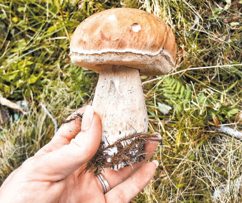 Иллюстрация к книге — Франция, которую вы не знали [i_097.jpg]