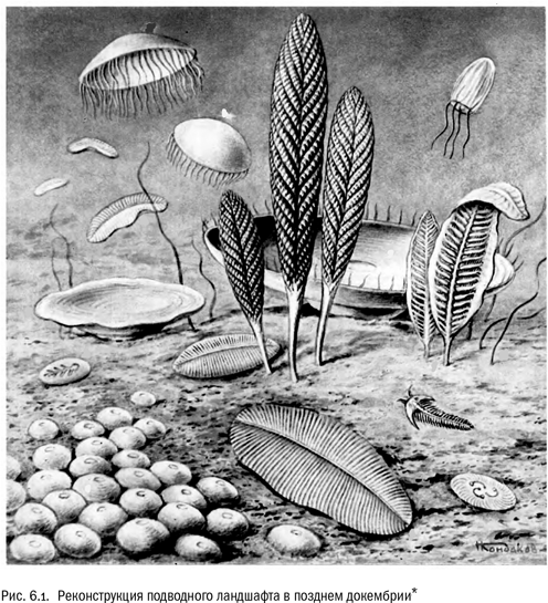 Иллюстрация к книге — Евангелие от LUCA. В поисках родословной животного мира [i_023.jpg]