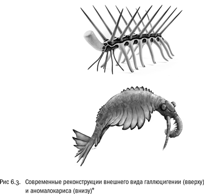 Иллюстрация к книге — Евангелие от LUCA. В поисках родословной животного мира [i_025.jpg]