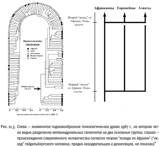 Иллюстрация к книге — Евангелие от LUCA. В поисках родословной животного мира [i_039.jpg]
