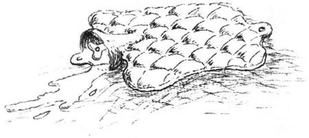 Иллюстрация к книге — Беспросветный Тупик [i_004.jpg]