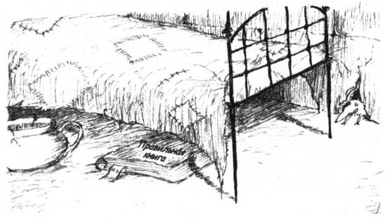 Иллюстрация к книге — Беспросветный Тупик [i_027.jpg]