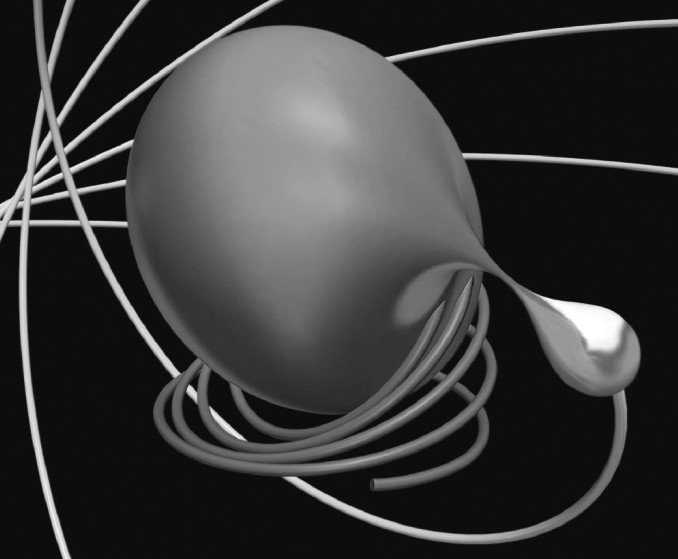 Иллюстрация к книге — Вселенная. Емкие ответы на непостижимые вопросы [i_013.jpg]