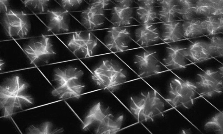 Иллюстрация к книге — Вселенная. Емкие ответы на непостижимые вопросы [i_023.jpg]