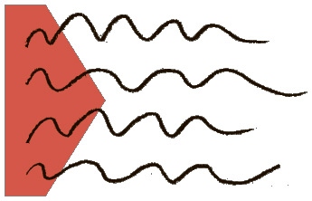 Иллюстрация к книге — С широко открытыми глазами. 131 Способ увидеть мир по-другому и найти радость в повседневности [i_038.jpg]