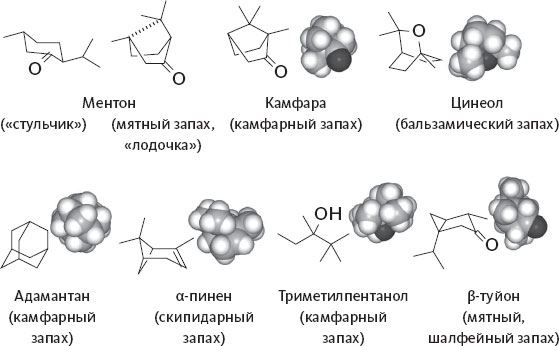 Иллюстрация к книге — Обоняние. Увлекательное погружение в науку о запахах [i_006.jpg]