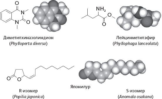Иллюстрация к книге — Обоняние. Увлекательное погружение в науку о запахах [i_015.jpg]