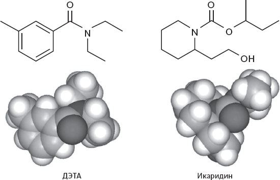 Иллюстрация к книге — Обоняние. Увлекательное погружение в науку о запахах [i_019.jpg]