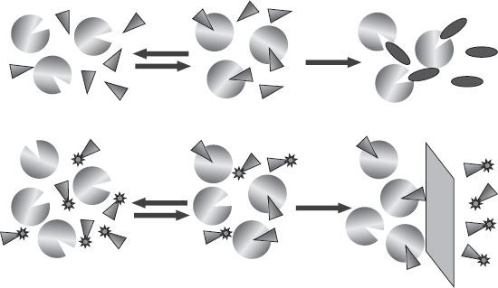 Иллюстрация к книге — Обоняние. Увлекательное погружение в науку о запахах [i_021.jpg]