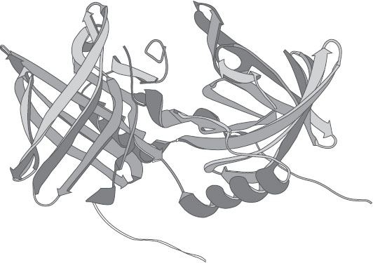 Иллюстрация к книге — Обоняние. Увлекательное погружение в науку о запахах [i_022.jpg]