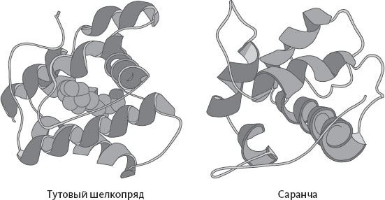 Иллюстрация к книге — Обоняние. Увлекательное погружение в науку о запахах [i_024.jpg]