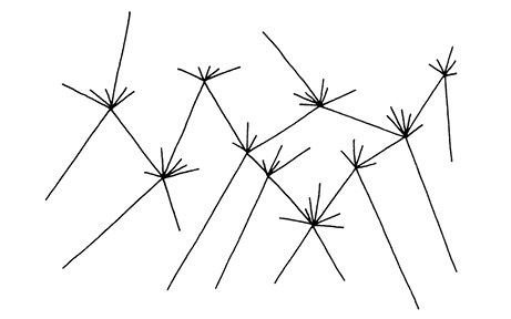 Иллюстрация к книге — Опасная идея Дарвина: Эволюция и смысл жизни [i_009.jpg]