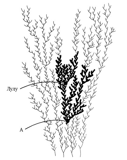 Иллюстрация к книге — Опасная идея Дарвина: Эволюция и смысл жизни [i_011.jpg]