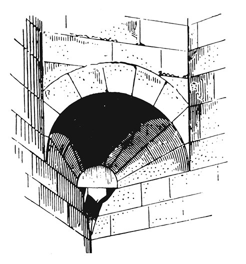 Иллюстрация к книге — Опасная идея Дарвина: Эволюция и смысл жизни [i_031.jpg]