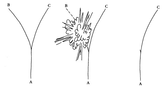 Иллюстрация к книге — Опасная идея Дарвина: Эволюция и смысл жизни [i_037.jpg]