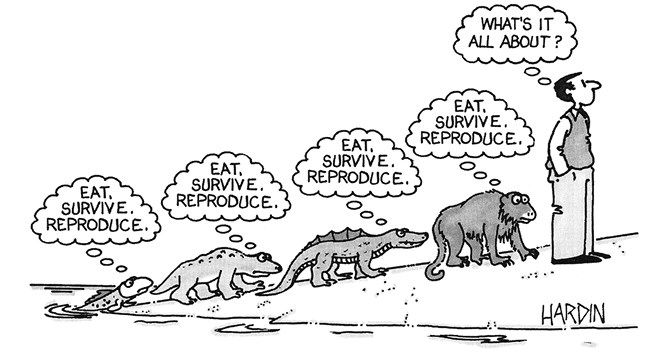 Иллюстрация к книге — Опасная идея Дарвина: Эволюция и смысл жизни [i_039.jpg]