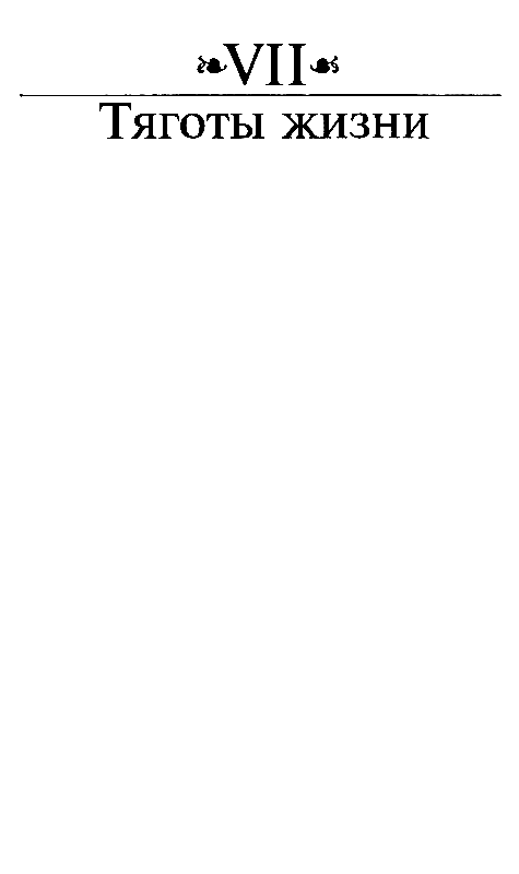 Иллюстрация к книге — Молодые годы короля Генриха IV [pic_15.jpg]