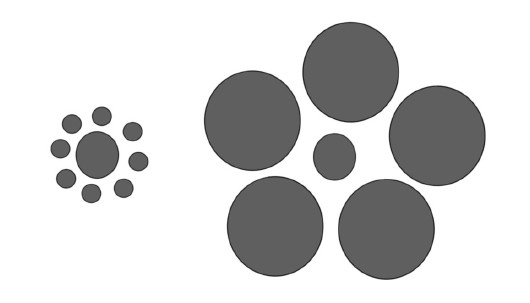 Иллюстрация к книге — Ваш мозг. Что нейронаука знает о мозге и его причудах [i_041.jpg]