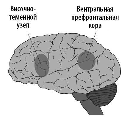 Иллюстрация к книге — Ваш мозг. Что нейронаука знает о мозге и его причудах [i_049.jpg]