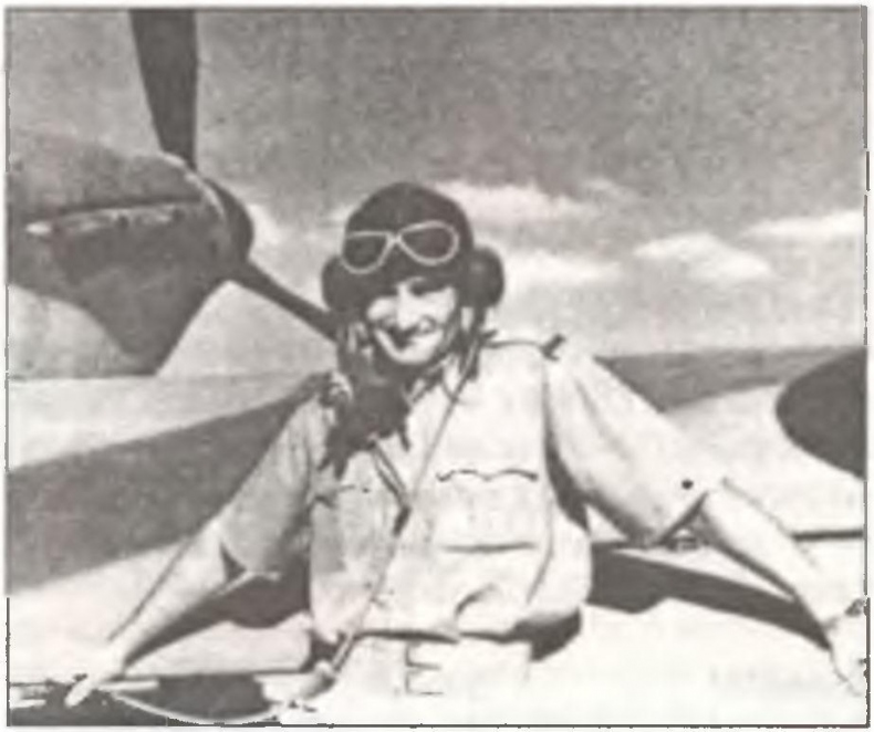 Иллюстрация к книге — Асы Второй мировой войны. Британская империя. Том 1 [i_127.jpg]