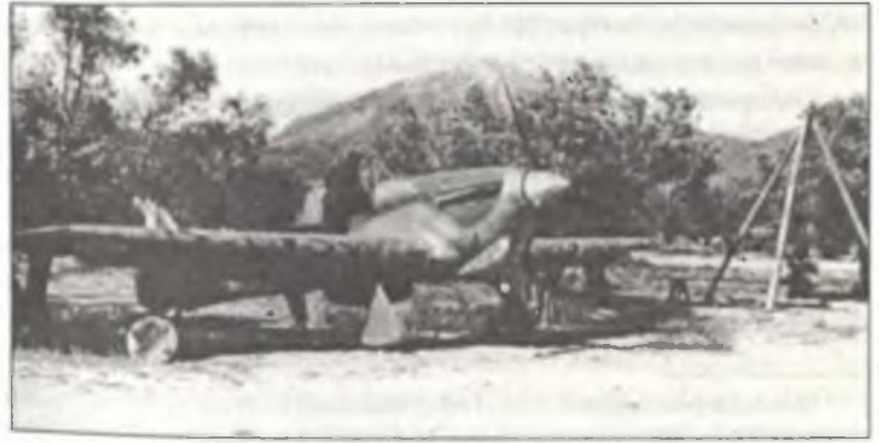 Иллюстрация к книге — Асы Второй мировой войны. Британская империя. Том 1 [i_261.jpg]