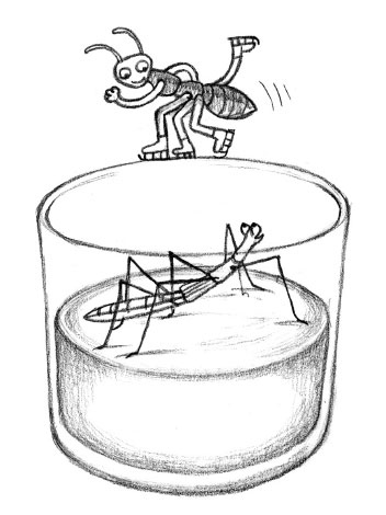 Иллюстрация к книге — Комично, как все химично! Почему не стоит бояться фтора в зубной пасте, тефлона на сковороде, и думать о том, что телефон на зарядке взорвется [i_061.jpg]