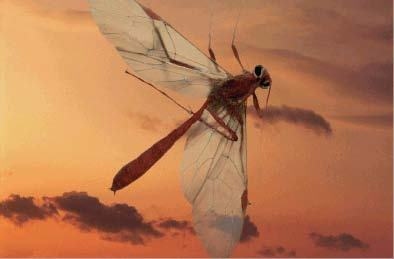 Иллюстрация к книге — Цифровое искусство [i_046.jpg]