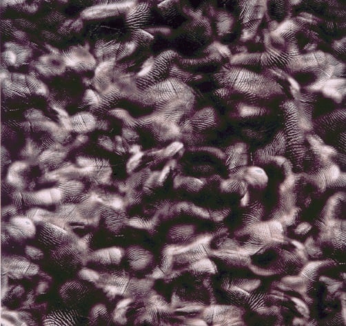 Иллюстрация к книге — Цифровое искусство [i_050.jpg]