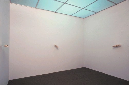 Иллюстрация к книге — Цифровое искусство [i_072.jpg]