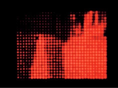 Иллюстрация к книге — Цифровое искусство [i_078.jpg]