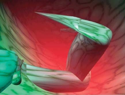 Иллюстрация к книге — Цифровое искусство [i_164.jpg]