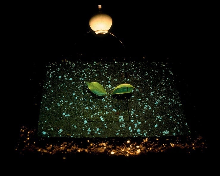 Иллюстрация к книге — Цифровое искусство [i_182.jpg]