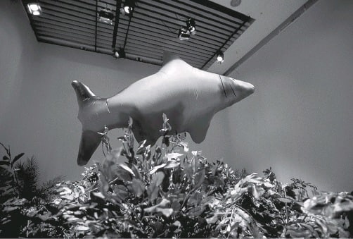 Иллюстрация к книге — Цифровое искусство [i_184.jpg]