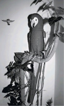 Иллюстрация к книге — Цифровое искусство [i_185.jpg]