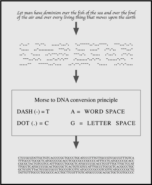 Иллюстрация к книге — Цифровое искусство [i_241.jpg]