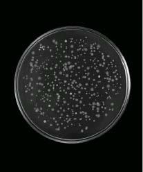 Иллюстрация к книге — Цифровое искусство [i_242.jpg]