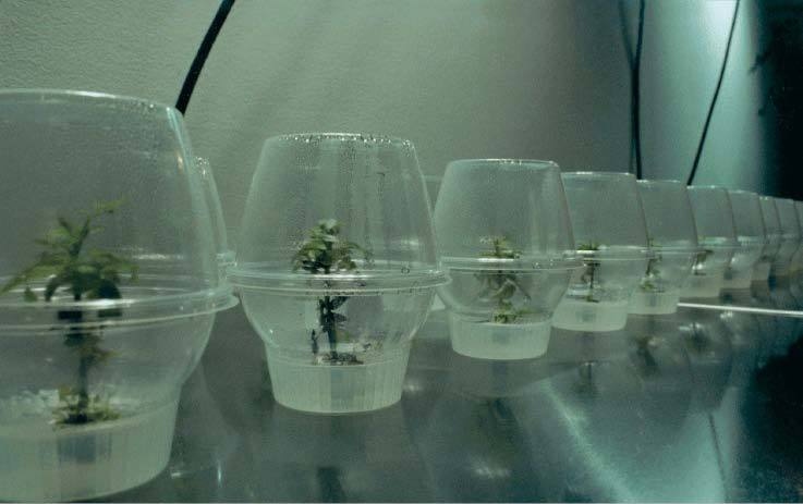 Иллюстрация к книге — Цифровое искусство [i_244.jpg]